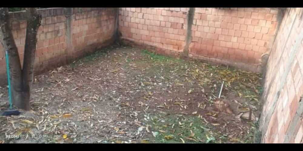 WhatsApp Image 2026-02-08 at 08.38.32